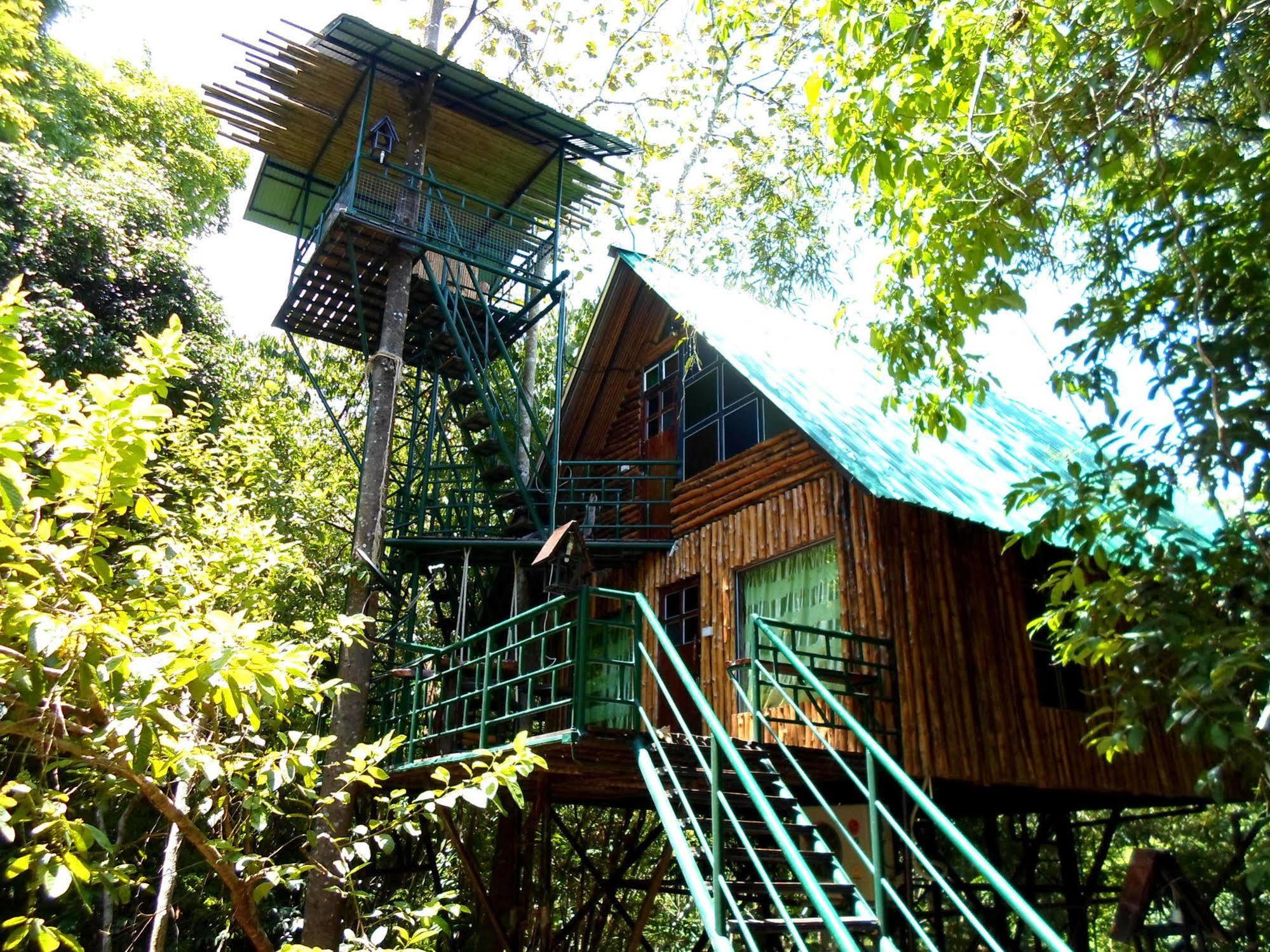 Khao Sok Tree House Resort Khao Sok National Park Exterior foto