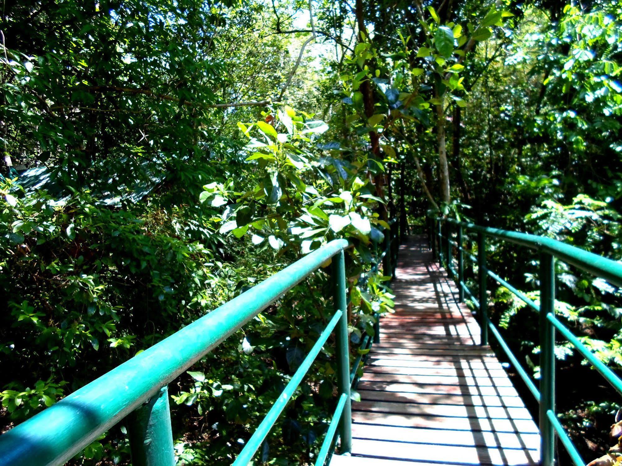 Khao Sok Tree House Resort Khao Sok National Park Exterior foto