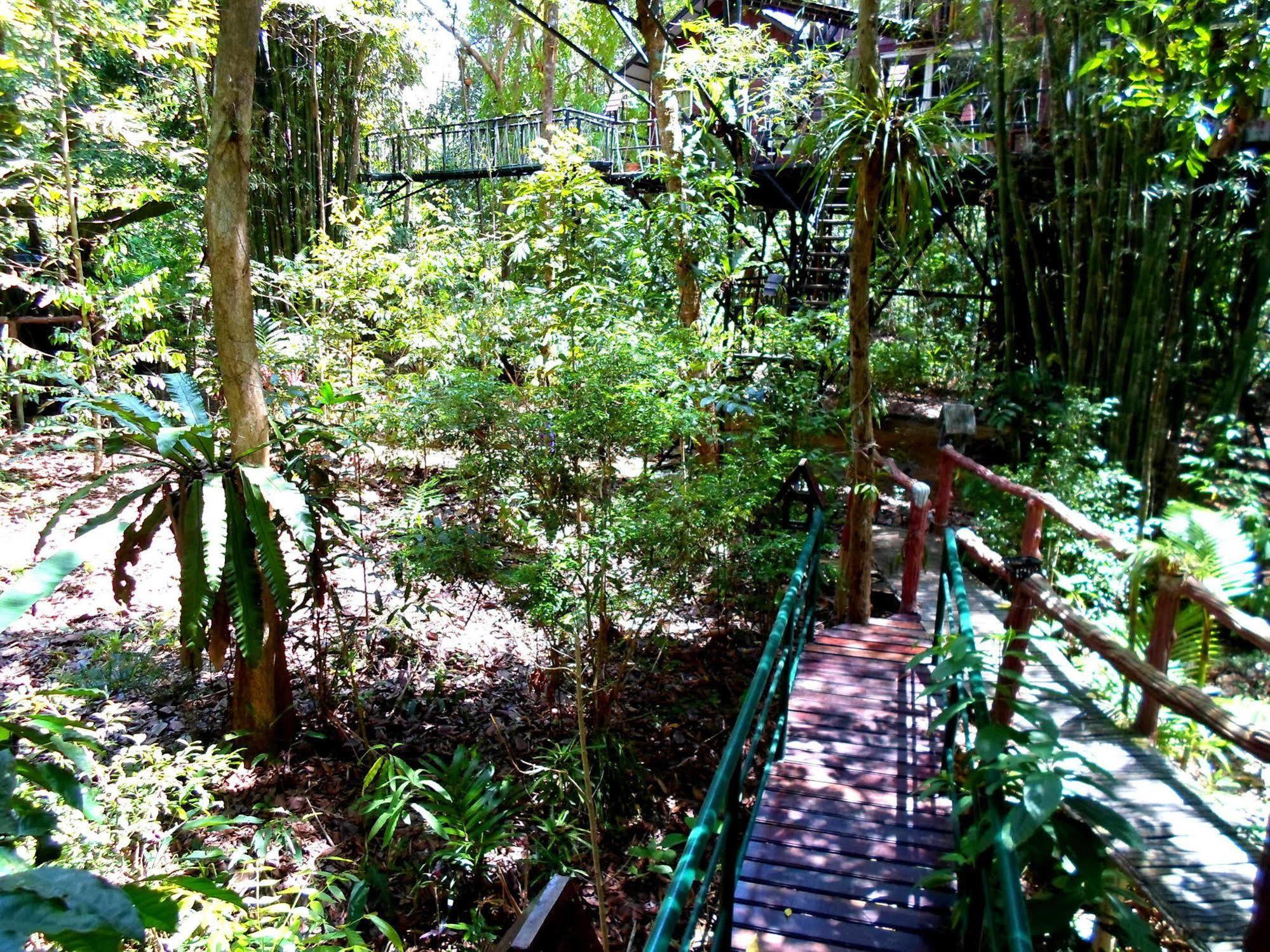 Khao Sok Tree House Resort Khao Sok National Park Exterior foto