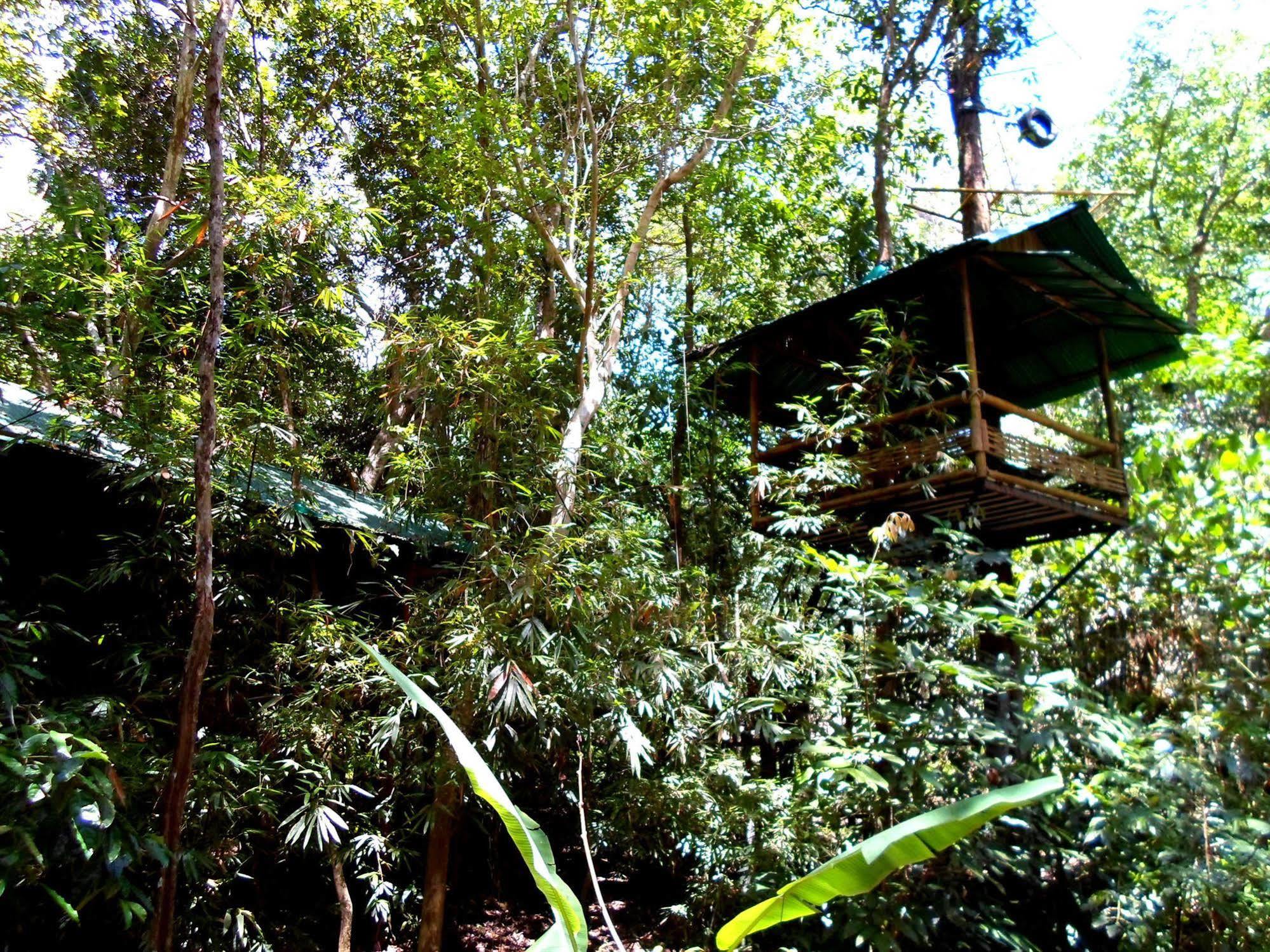 Khao Sok Tree House Resort Khao Sok National Park Exterior foto