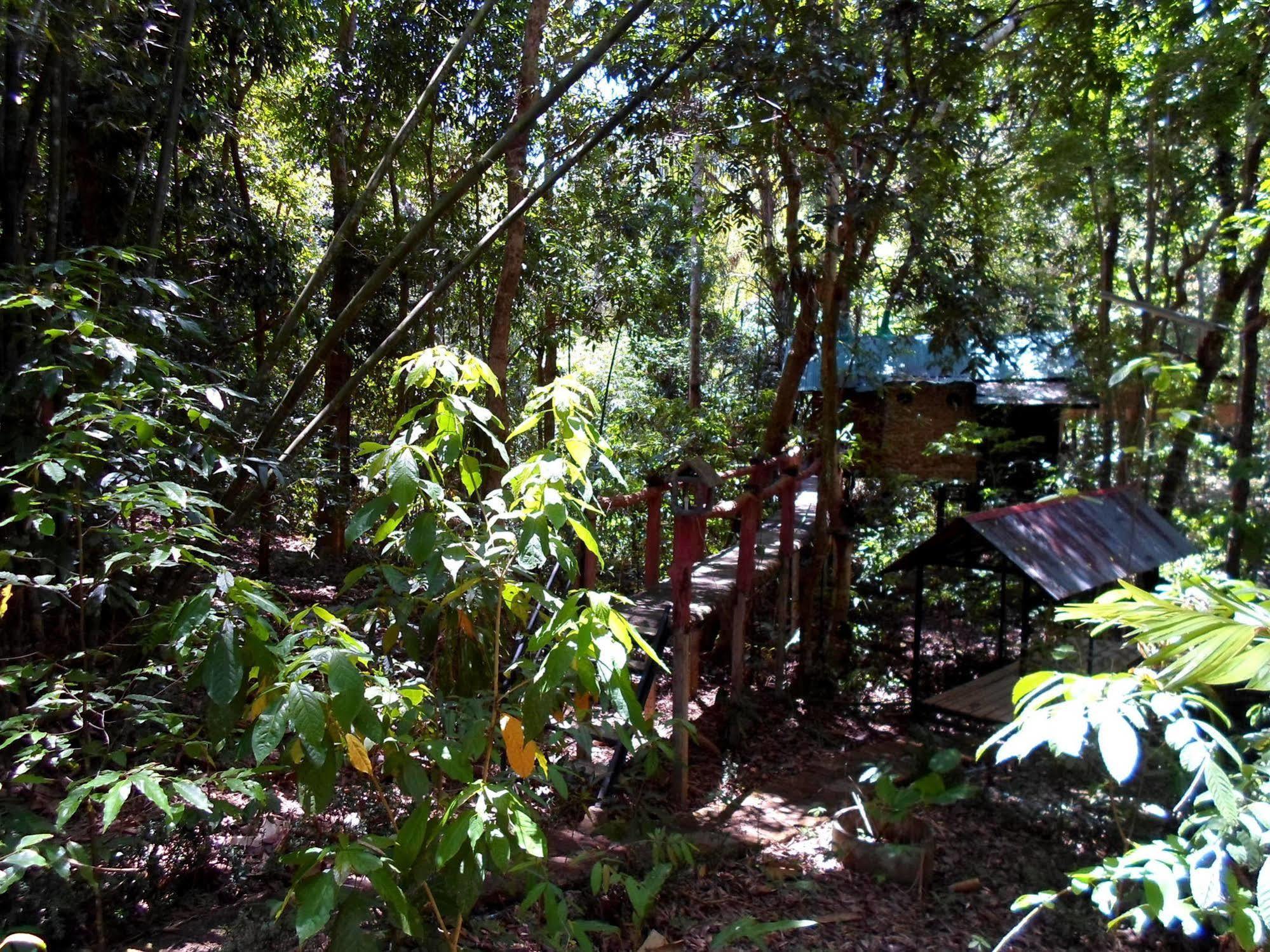 Khao Sok Tree House Resort Khao Sok National Park Exterior foto
